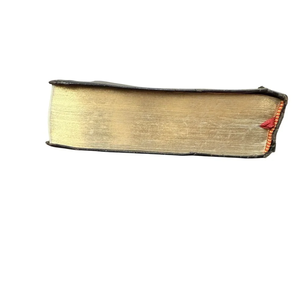 Chinese English Holy Bible NIV‎ 1996 Bilingual Softcover Study Devotional